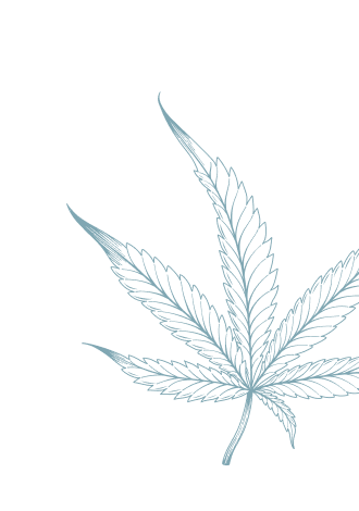 Cannabis Leaf